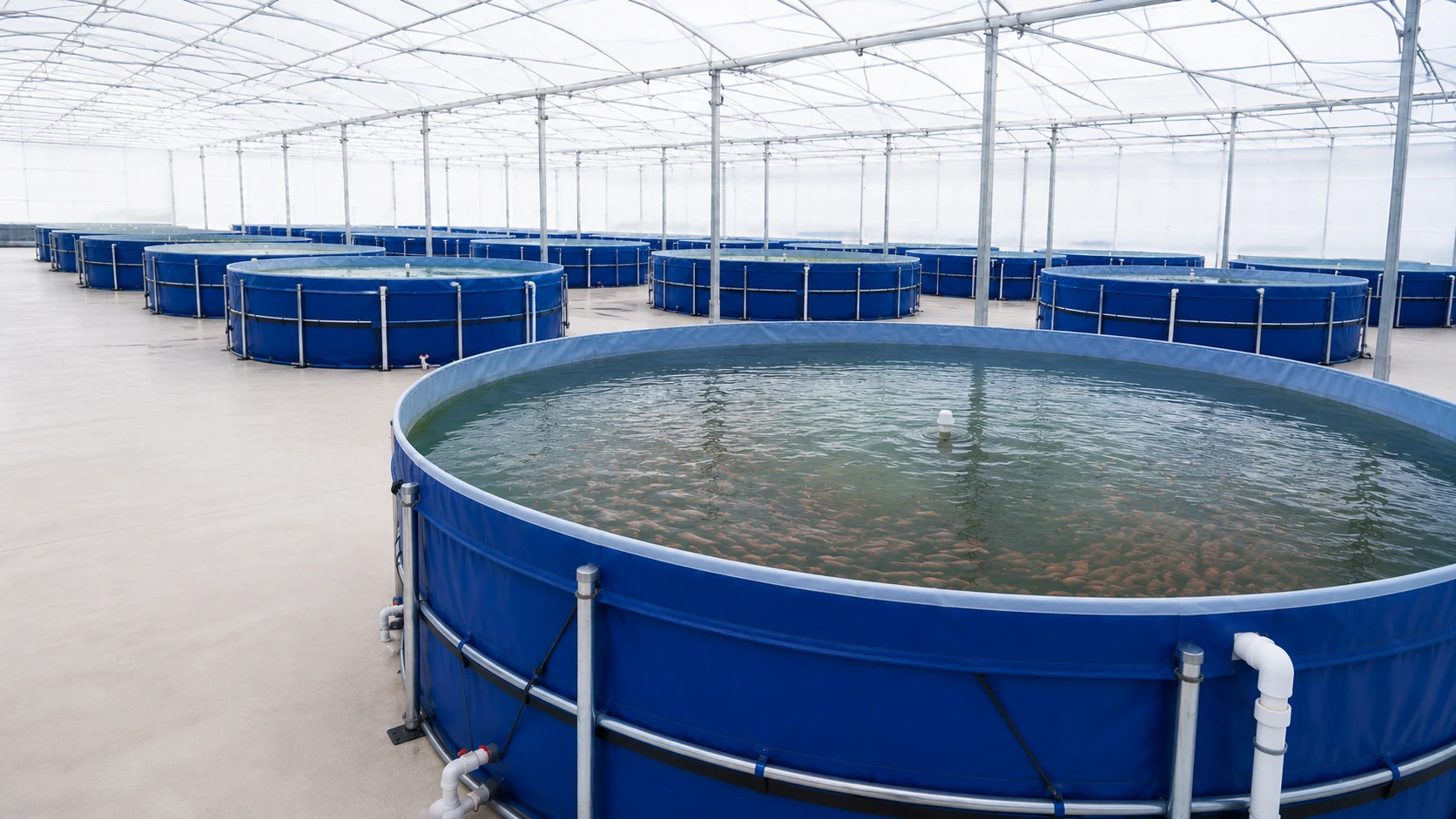Circular aquaculture tanks at the Guangzhou Nansha aquaculture base