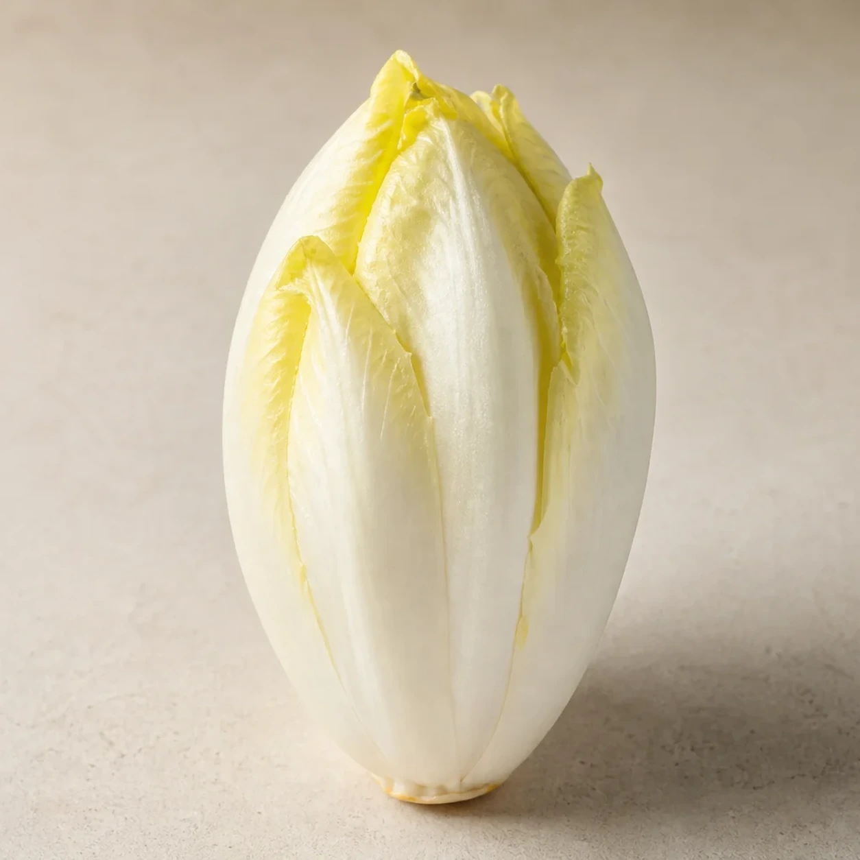 方舱种植玉兰菜产品